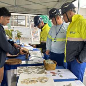 TCP promotes awareness actions to celebrate Arbor Day and World Car Free Day